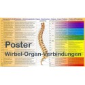 Dorn Poster Wirbel-Organ Verbindungen